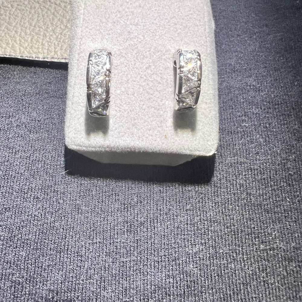 Elegant Silver Hoop Earrings